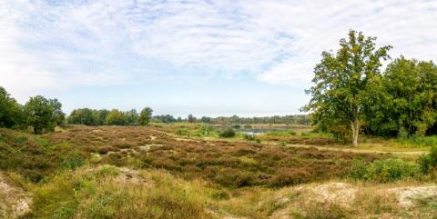 natuurgebied De Maten