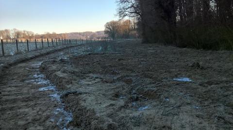 Foto vernieuwd wandelpad