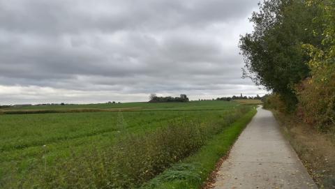 Foto toont Woluweveld bij grijs weer