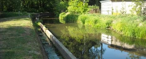Projectgebied Schansbroek
