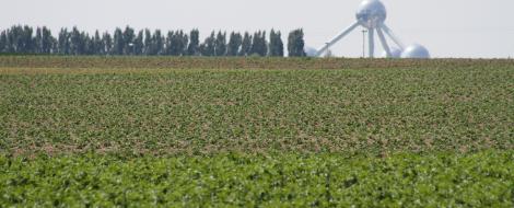Projectzone Vlaamse Rand