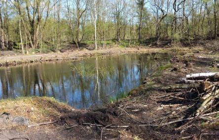 Natuurpunt gestart met openmaken van de oevers Hornszeevijver