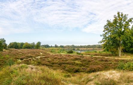 natuurgebied De Maten