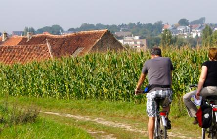 Fietsers in het landschap van Green4Grey