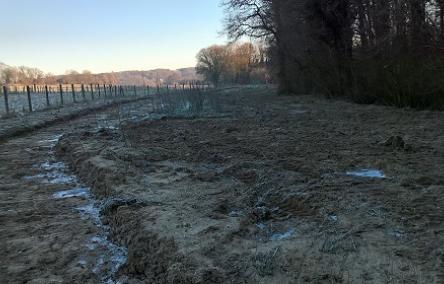 Foto vernieuwd wandelpad